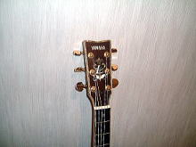 a0083903_9121887.jpg