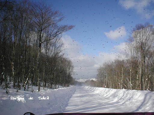 d0087503_16181955.jpg