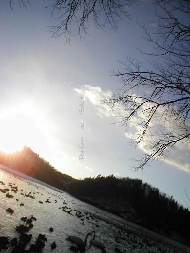 d0087503_16212246.jpg
