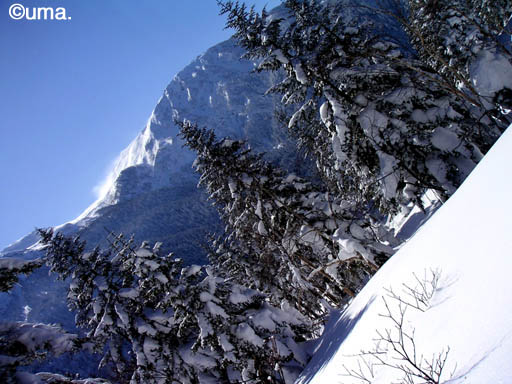 b0061004_2332259.jpg