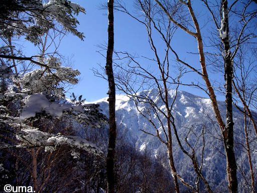 b0061004_233611.jpg