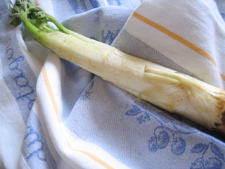 d0003606_14551331.jpg