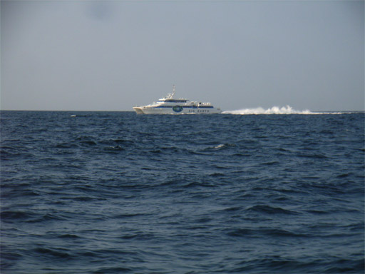 b0019909_15291150.jpg