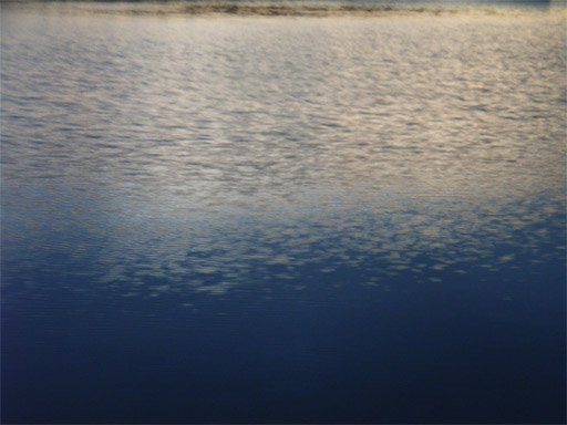 b0019909_1561656.jpg