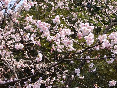 c0050419_21444269.jpg
