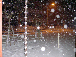 d0068023_230975.jpg
