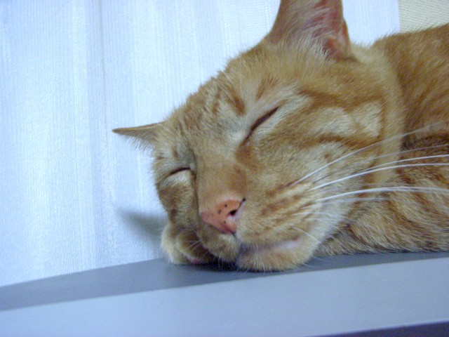d0081025_20321137.jpg
