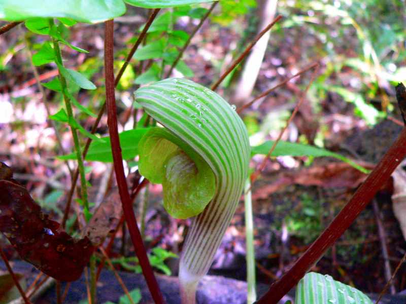 d0053930_5482122.jpg