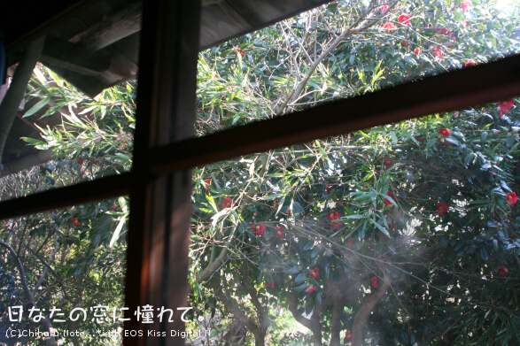 c0046340_23492441.jpg