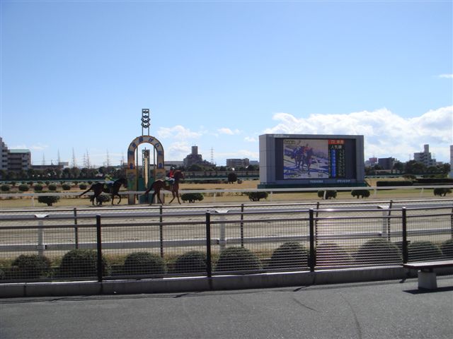 e0067640_16451755.jpg