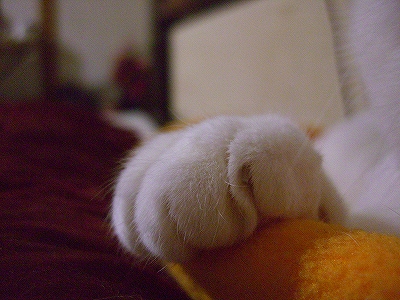 b0097145_0413945.jpg