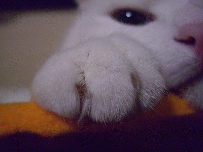 b0097145_0415485.jpg