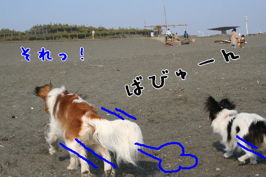 d0013149_0382230.jpg