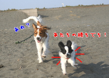 d0013149_0412271.jpg