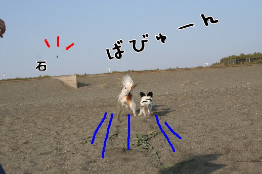 d0013149_0421889.jpg