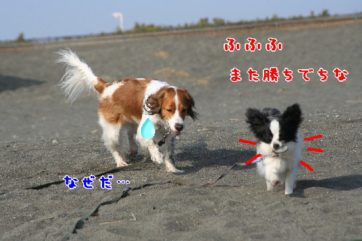 d0013149_0433379.jpg