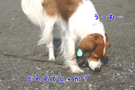 d0013149_0452053.jpg