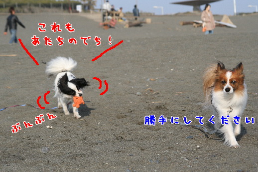 d0013149_0491747.jpg