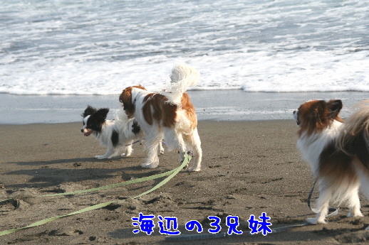 d0013149_051967.jpg