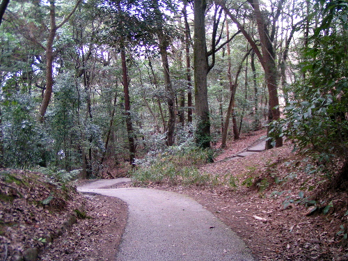 e0113562_044473.jpg