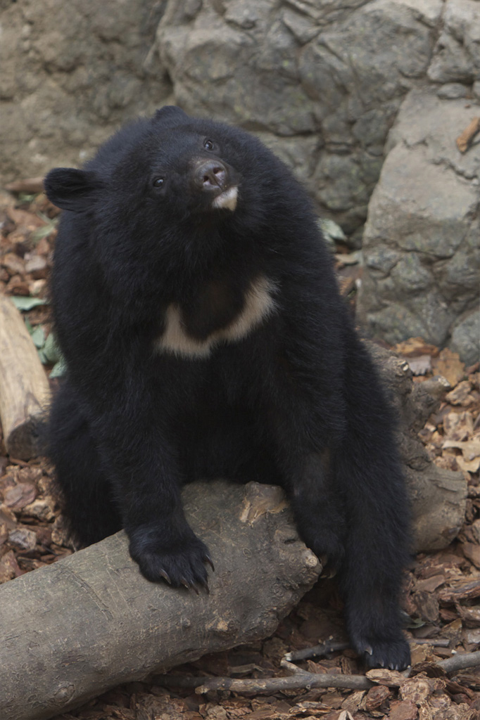 e0060169_637141.jpg