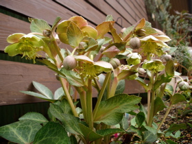 f0052869_1240417.jpg