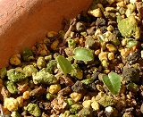 a0091680_21452967.jpg