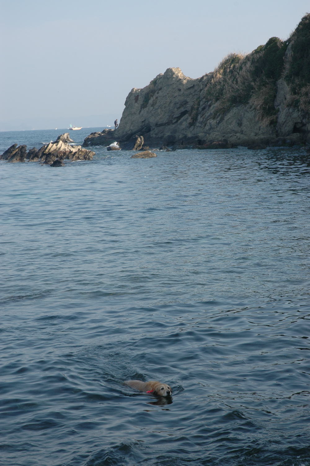 c0104492_0122489.jpg