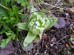 f0130894_2263221.jpg