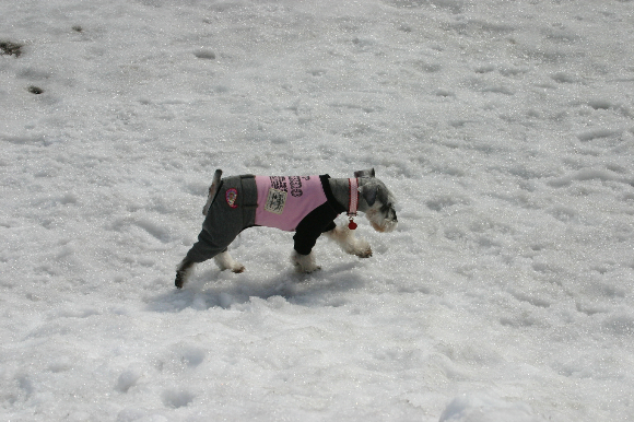 f0001895_21374677.jpg