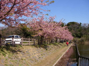 c0008598_8415672.jpg