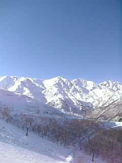 b0101300_20482370.jpg