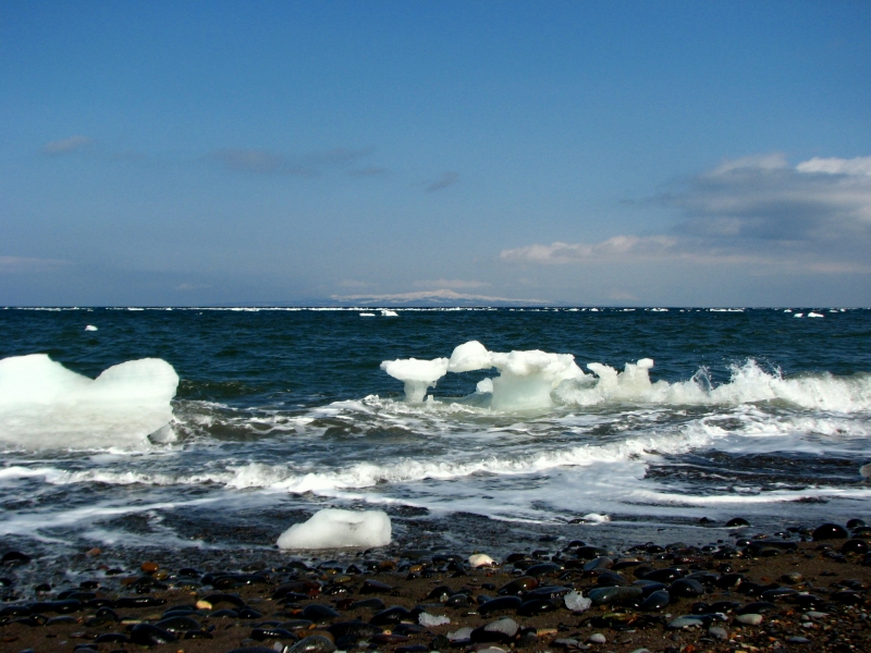 f0020302_23311095.jpg