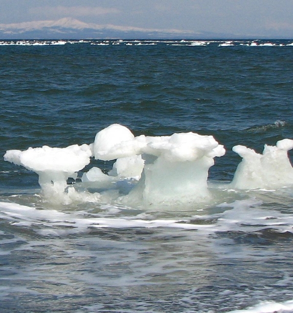f0020302_23321162.jpg