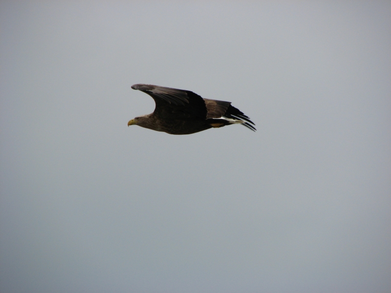 f0020302_23324799.jpg