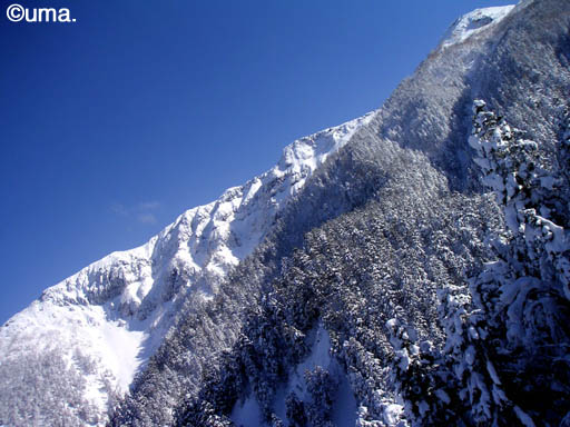 b0061004_19122975.jpg
