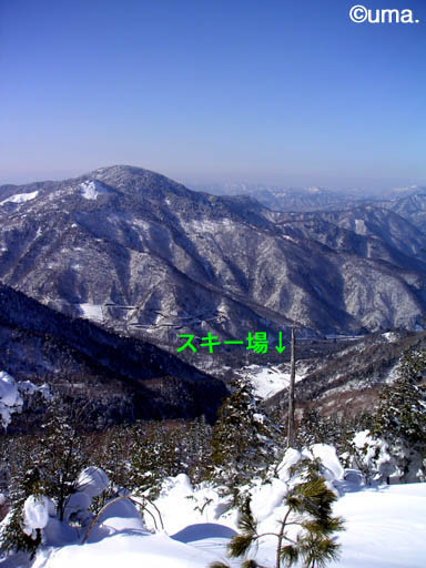b0061004_19124433.jpg