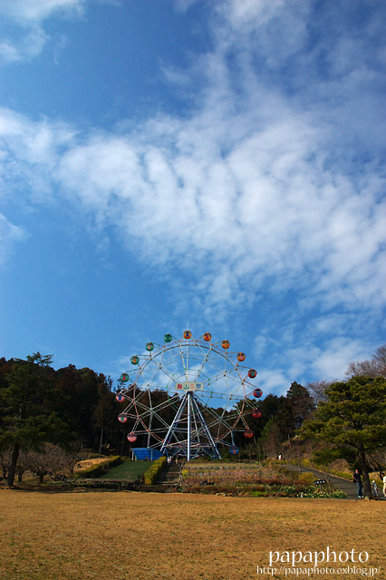 f0041908_23385079.jpg
