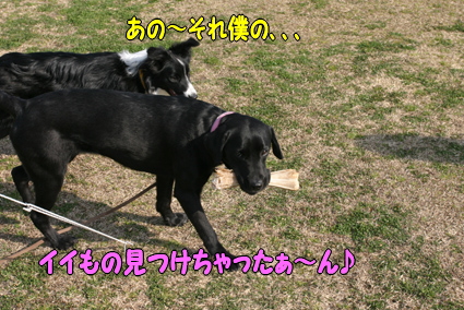 f0108112_23235233.jpg