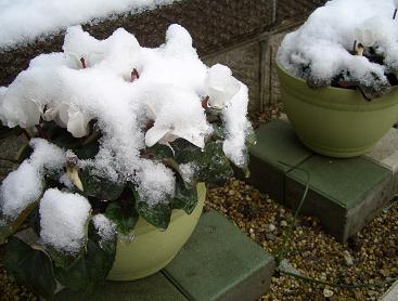 e0033713_1911929.jpg
