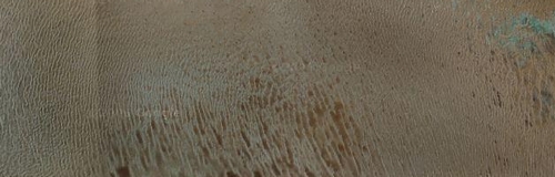 a0042120_2534962.jpg