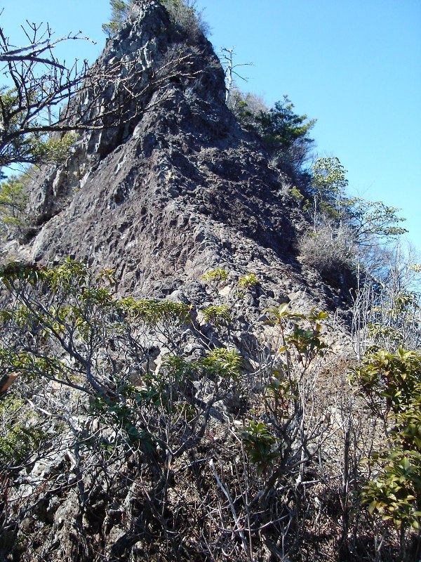 f0039234_13164671.jpg