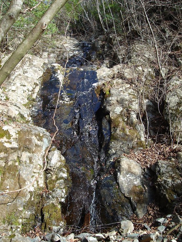 f0039234_13174940.jpg