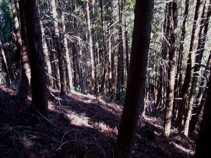 f0039234_13253853.jpg
