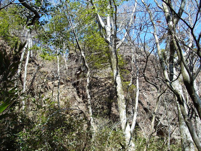 f0039234_13264859.jpg