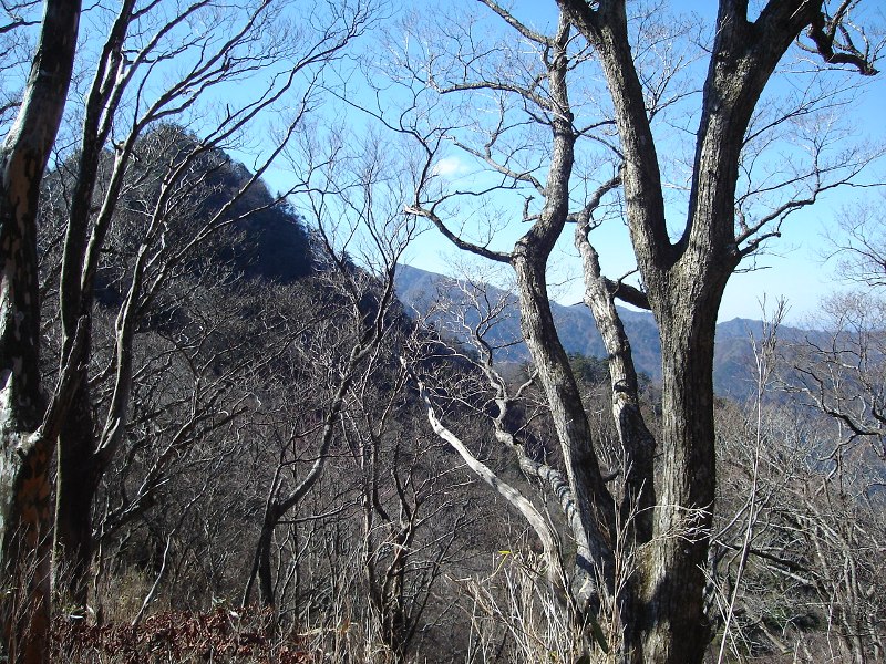 f0039234_1326617.jpg