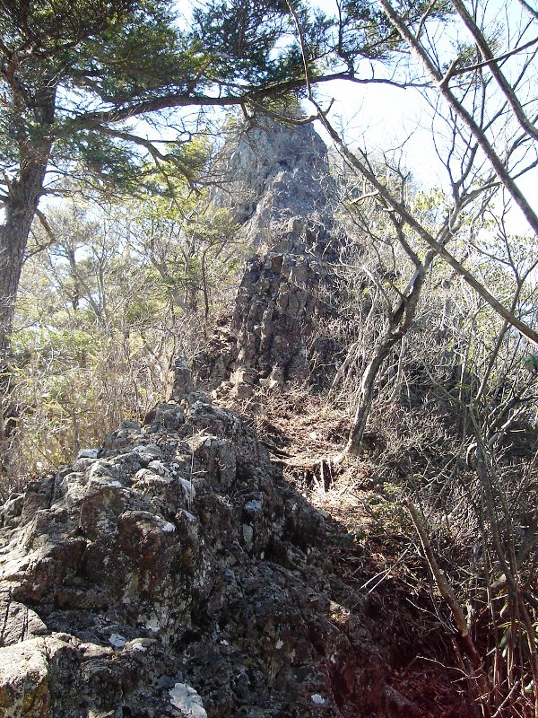 f0039234_13285971.jpg
