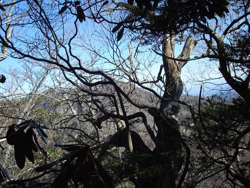 f0039234_13295751.jpg