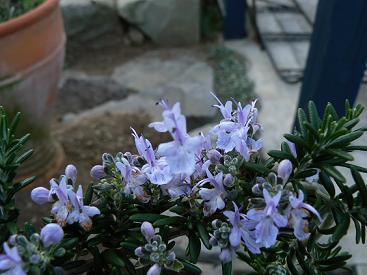 c0109235_1621135.jpg