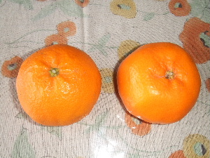 a0054240_11145948.jpg